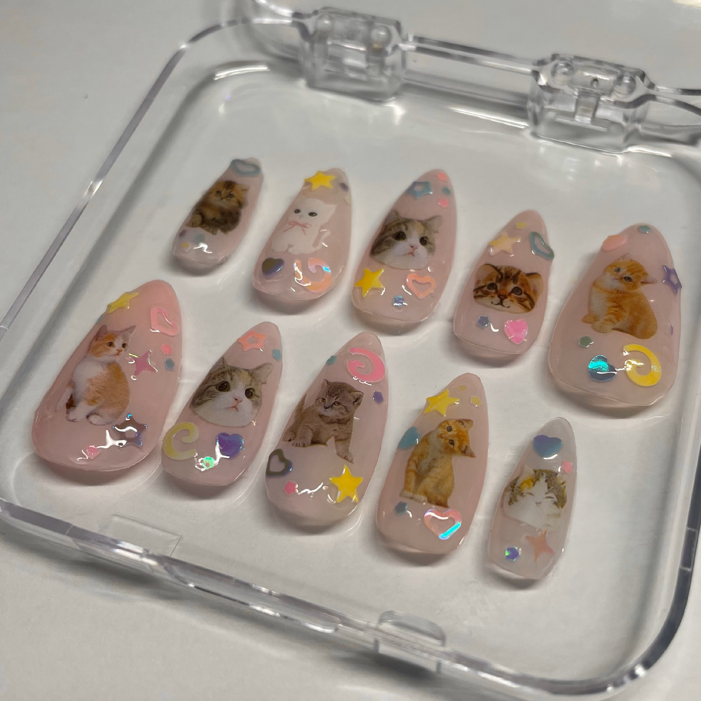 ✧Cutie Kitties✧ Press On Nails